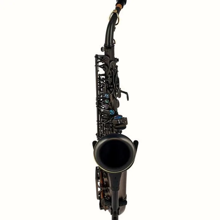 Avis et Test : Thomann Blacky Alto Sax