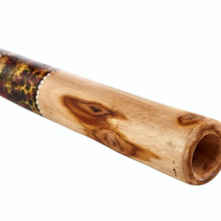 Avis et Test : Thomann Didgeridoo Teak 150cm Set