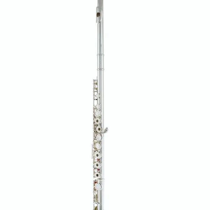 Test & Avis flûte traversière Thomann FL-1000 RE Flute