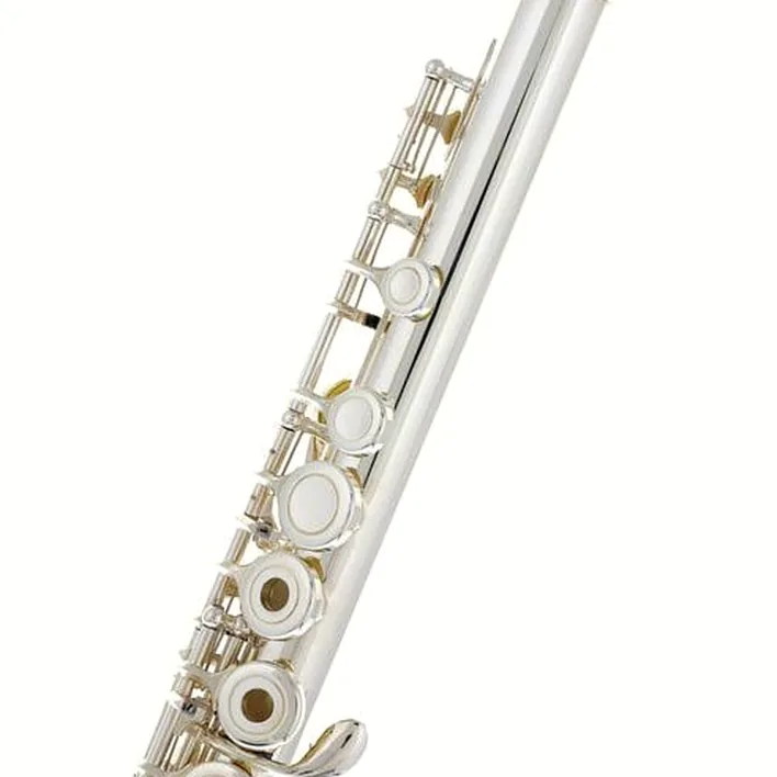 Test & Avis flûte traversière Thomann FL-1000 RE Flute