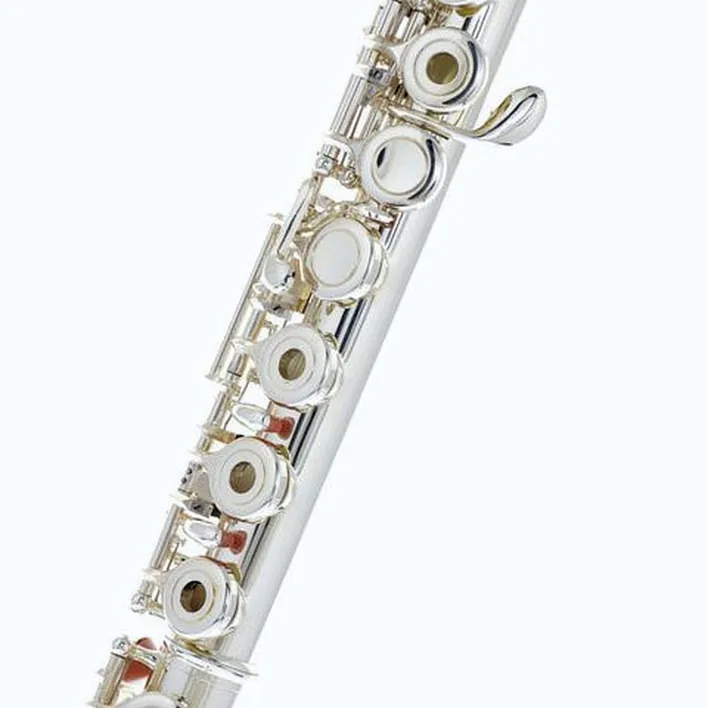 Test & Avis flûte traversière Thomann FL-1000 RE Flute