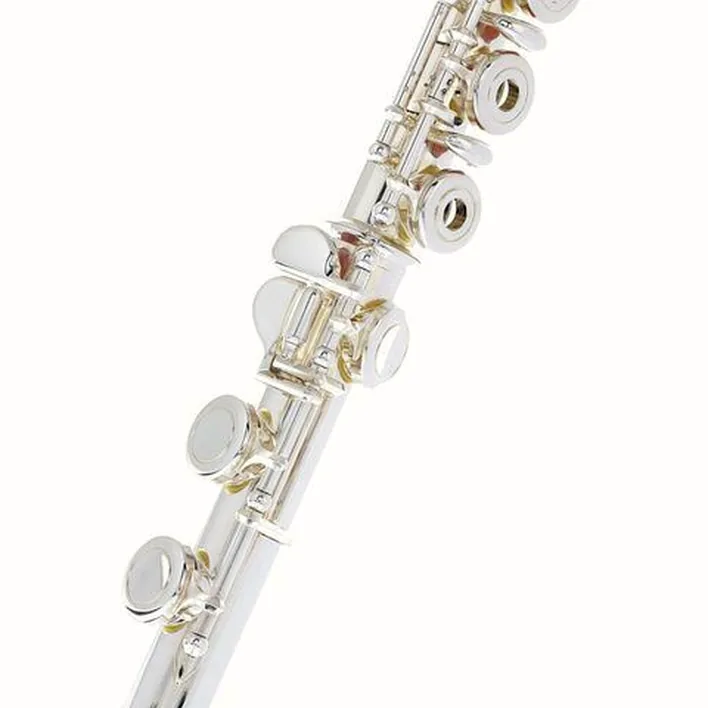 Test & Avis flûte traversière Thomann FL-1000 RE Flute