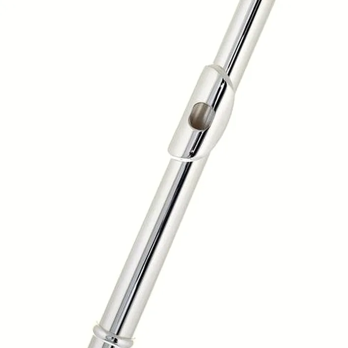 Test & Avis flûte traversière Thomann FL-1000 RE Flute