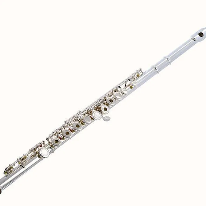 Test & Avis flûte traversière Thomann FL-1000 RE Flute