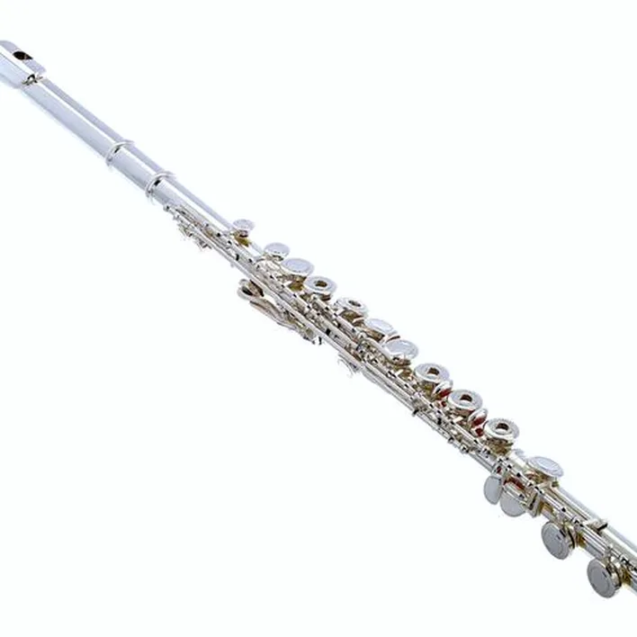Test & Avis flûte traversière Thomann FL-1000 RE Flute