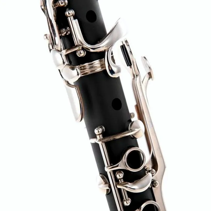 Test, Avis : Thomann GGCL-417 Synthetic G-Clarinet
