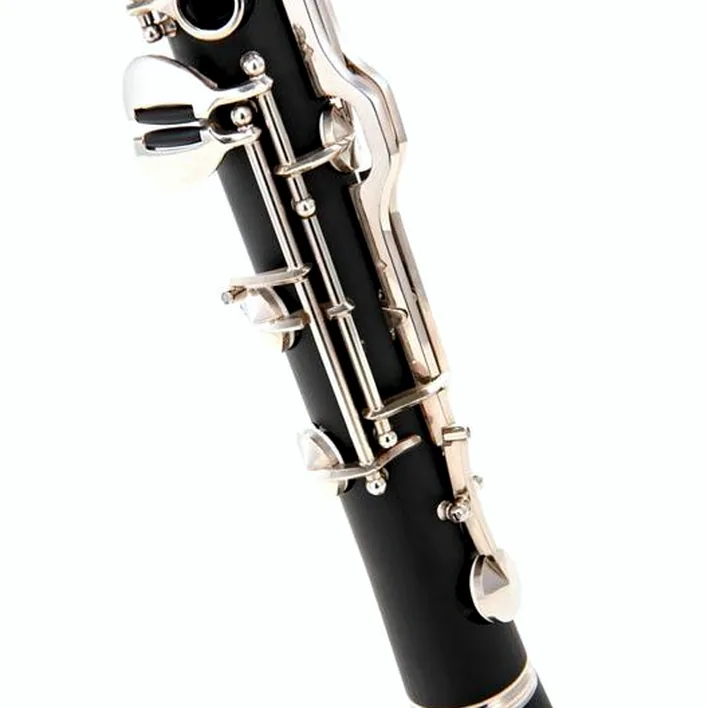 Test, Avis : Thomann GGCL-417 Synthetic G-Clarinet