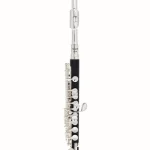 La flûte traversière Thomann PFL-200 Piccolo Flute Avis, Test & Comparatif