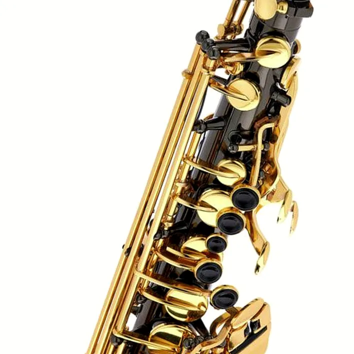 Avis et Test du saxophone Thomann TAS-180 Black Alto Saxophone