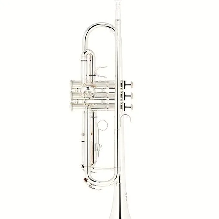 Avis et Test : Thomann TR 200 S Bb-Trumpet