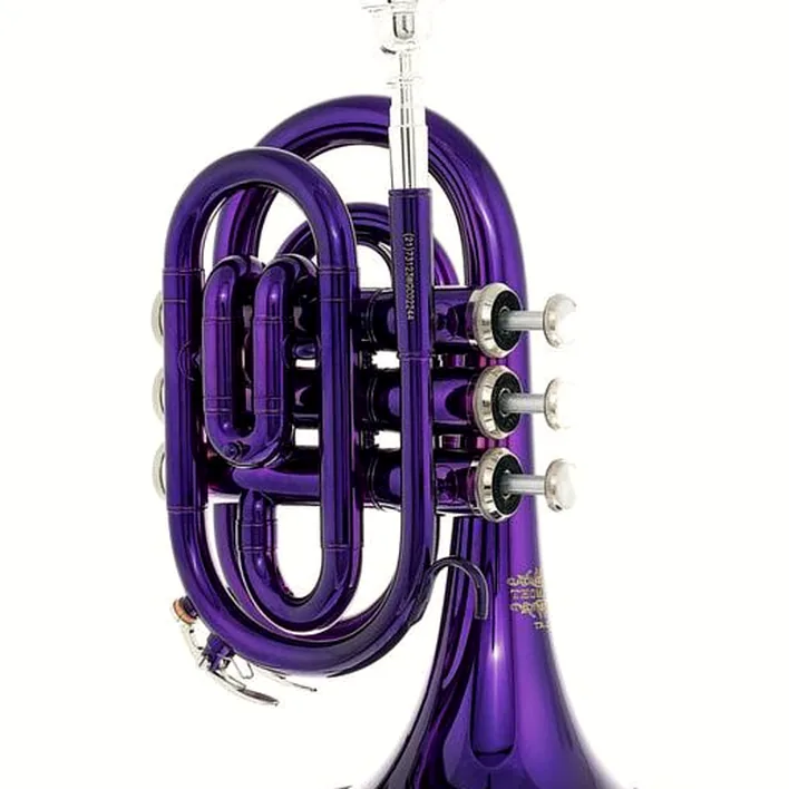 Avis et Test : Thomann TR 25 Bb-Pocket Trumpet Purple