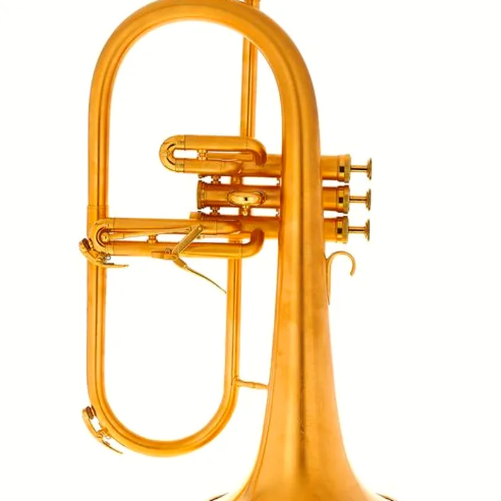 Test et Avis du bugle Adams F1 GM Custom 050 160 GP