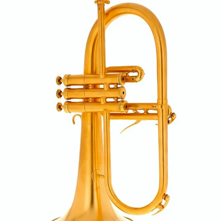 Test et Avis du bugle Adams F1 GM Custom 050 160 GP