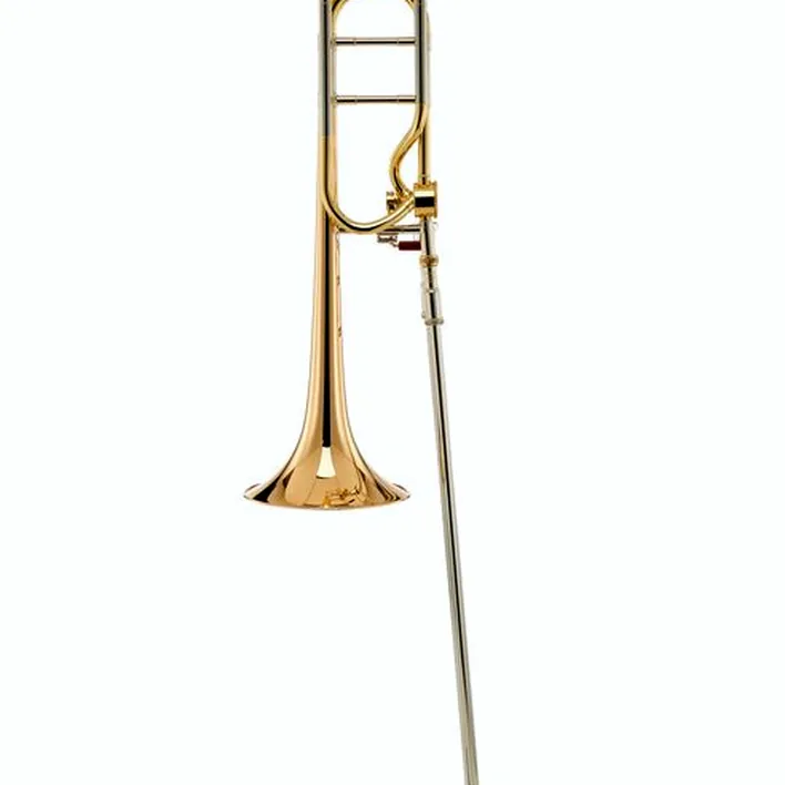 Le trombone Bach LT 42AG Bb/F-Tenor Trombone RH Comparatif, Avis, Test