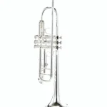 Avis, Test : Bach TR-501 S Student