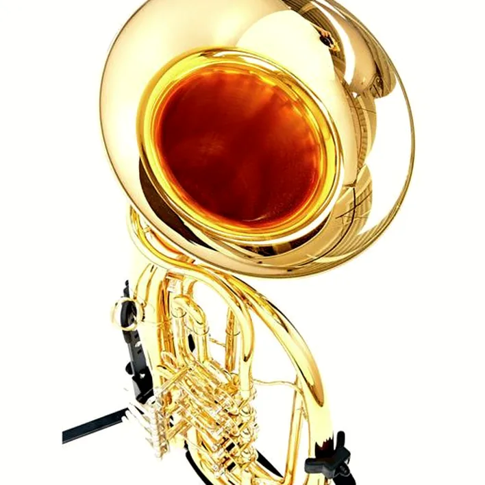 Avis, Test baryton Wagnérien Kühnl & Hoyer Royal Open Flow G Baritone