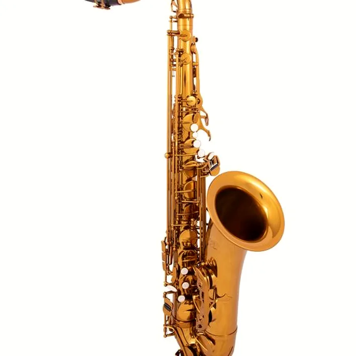 Avis, Test du saxophone BetterSax Tenor Saxophone