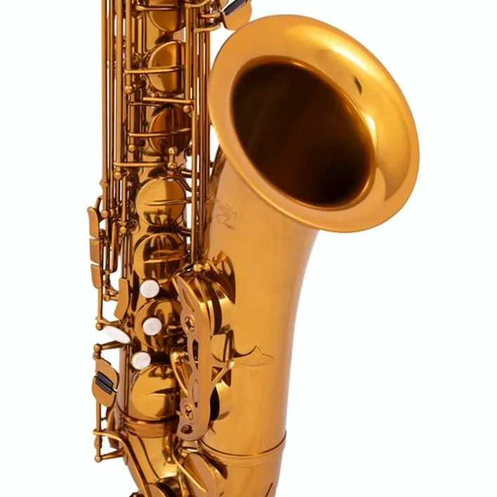 Avis, Test du saxophone BetterSax Tenor Saxophone