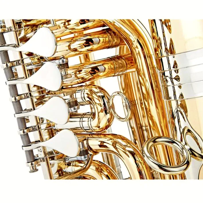 Avis & Test : B&S 3100 WG-L Fanny F-Tuba