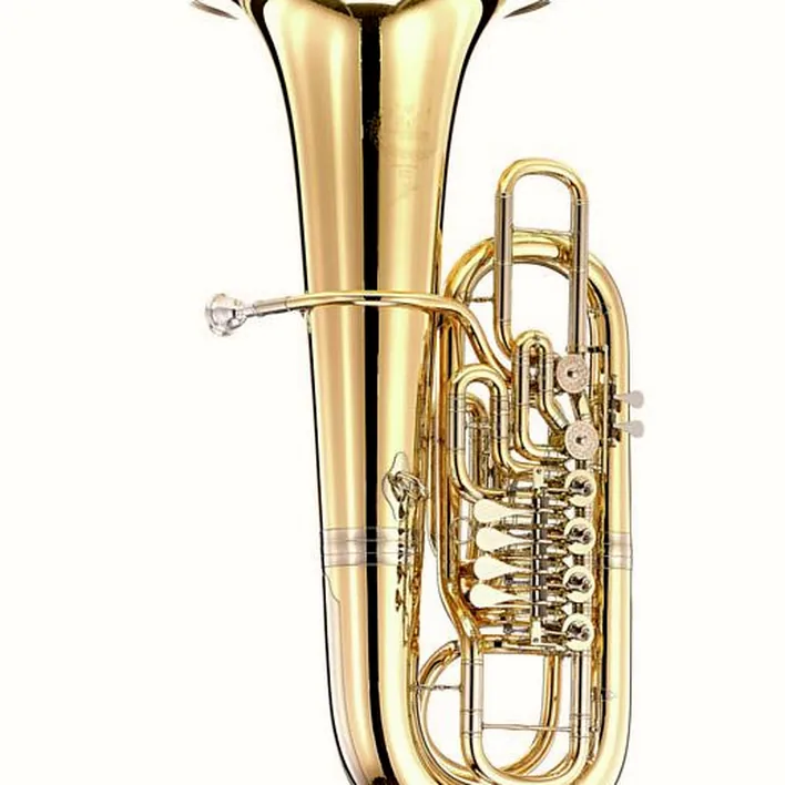Avis & Test : B&S 3100 WG-L Fanny F-Tuba