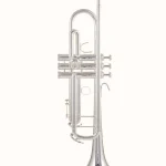 Avis & Test : B&S 3137-S Challenger I S