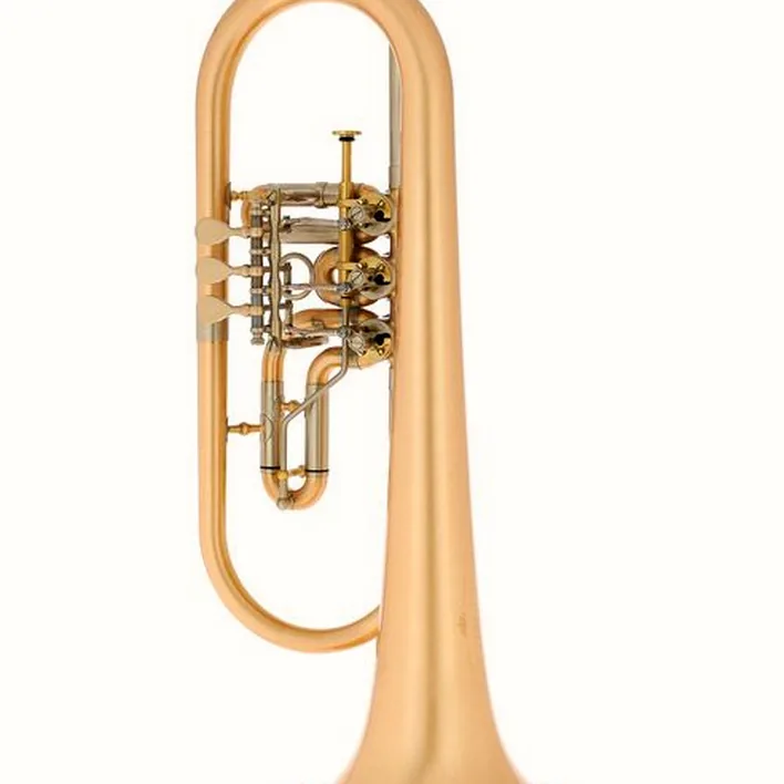Le bugle Schagerl Hans Gansch Flugelhorn scratch , Test, Comparatif, Avis