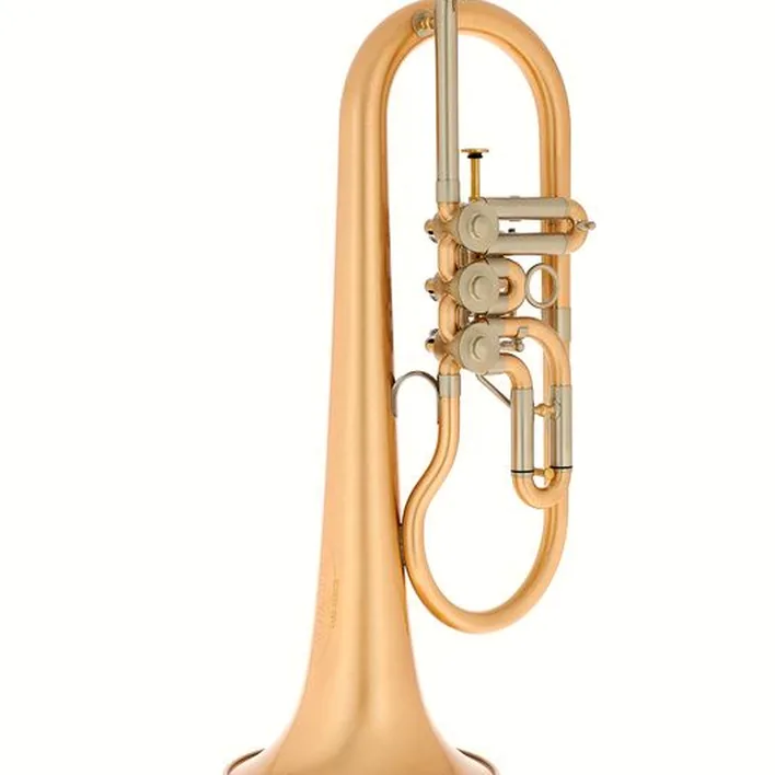 Le bugle Schagerl Hans Gansch Flugelhorn scratch , Test, Comparatif, Avis
