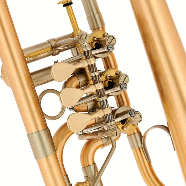 Le bugle Schagerl Hans Gansch Flugelhorn scratch , Test, Comparatif, Avis