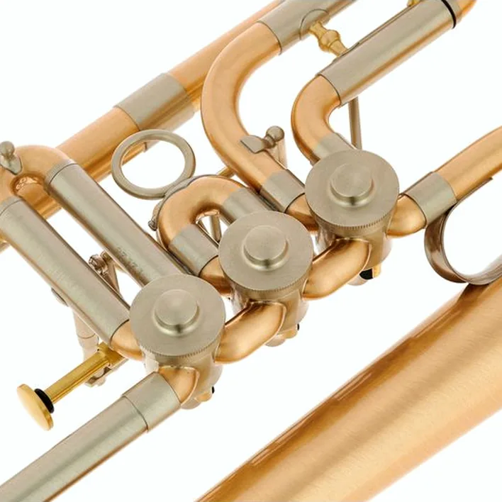 Le bugle Schagerl Hans Gansch Flugelhorn scratch , Test, Comparatif, Avis