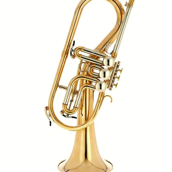 Bugle Schagerl Killerqueen « Z » Flugelhorn UL Test, Avis et Comparatif