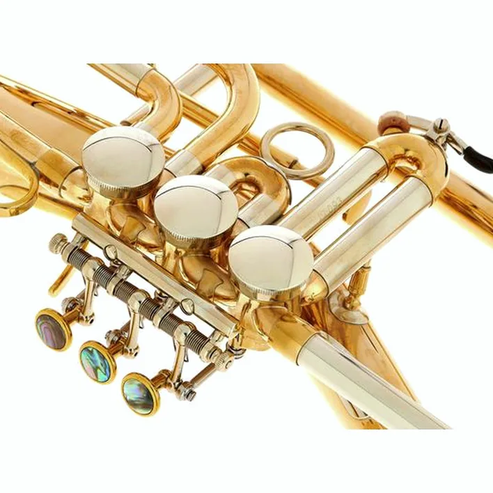 Bugle Schagerl Killerqueen « Z » Flugelhorn UL Test, Avis et Comparatif