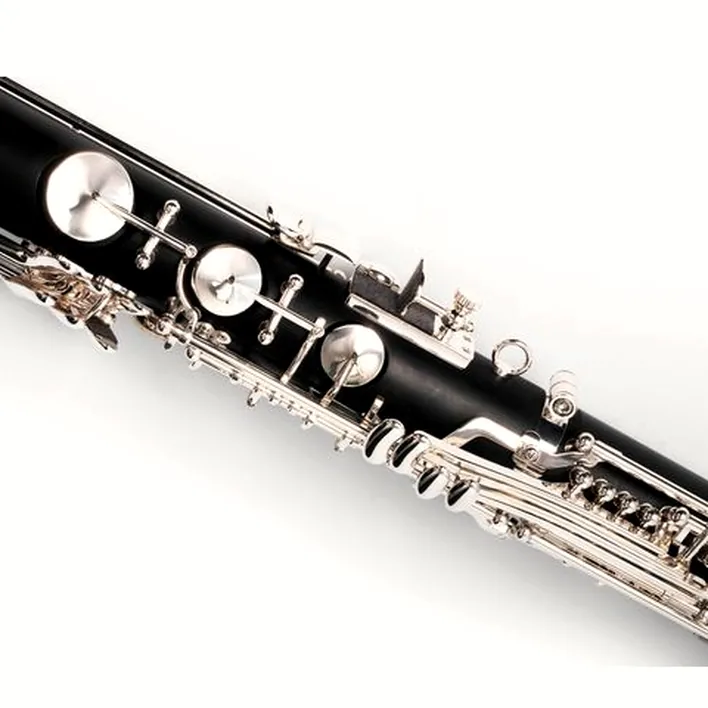Avis, Test clarinette RZ Clarinets Coda Bass Clarinet