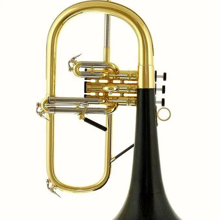 Test et Avis : daCarbo Goldlac flugelhorn
