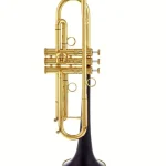 Avis, Test : daCarbo Unica Goldlacquer Bb- Trumpet
