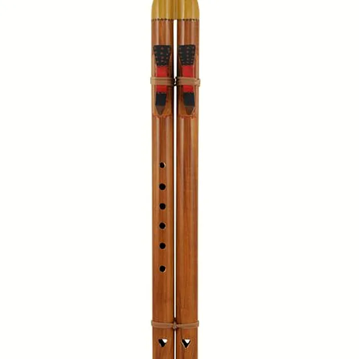 Avis, Test de la flûte Thomann Indian Flute Double Tone A