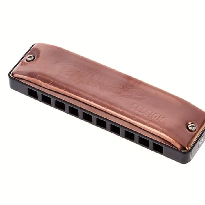 Avis, Test de l’harmonica C.A. Seydel Söhne Session Antique D