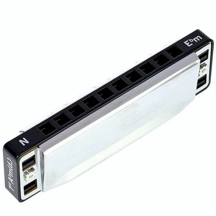 Avis & Test de l’harmonica Lee Oskar Natural Minor Eb