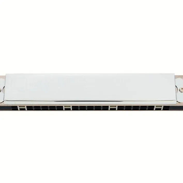 Avis, Test de l’harmonica Suzuki SU-21HM Humming Tremolo A