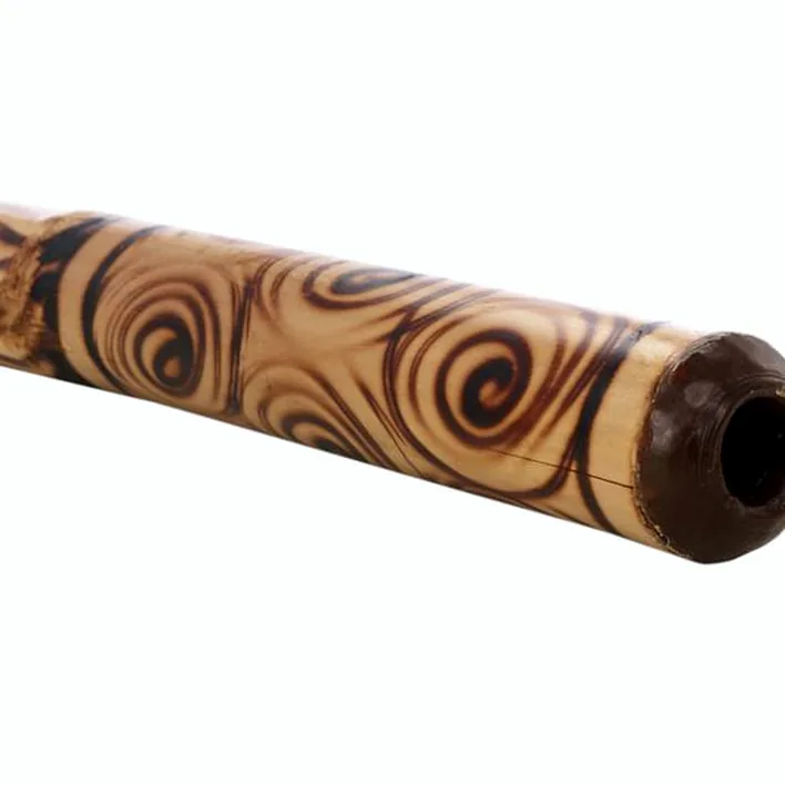 Avis & Test didjeridoo Thomann Didgeridoo Bambus 120cm Beflam