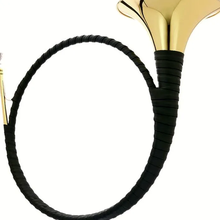 Avis, Test : Dotzauer Parforce Horn in Bb 18215