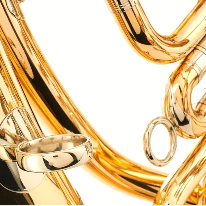 Avis & Test du baryton Wagnérien Miraphone 53 N 1100 A Baritone