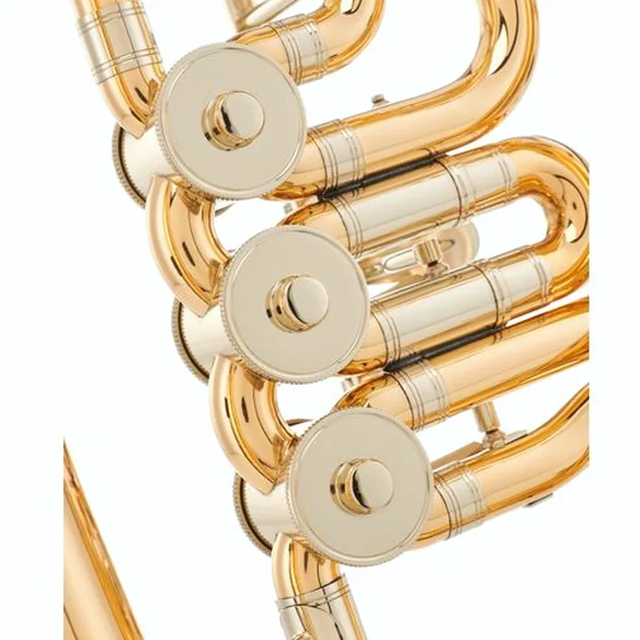 Avis & Test du baryton Wagnérien Miraphone 53 N 1100 A Baritone