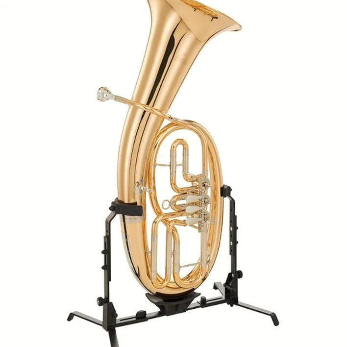 Avis & Test du baryton Wagnérien Miraphone 53 N 1100 A Baritone