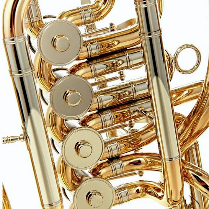 Avis & Test du baryton Wagnérien Miraphone 54L 1100 A Baritone