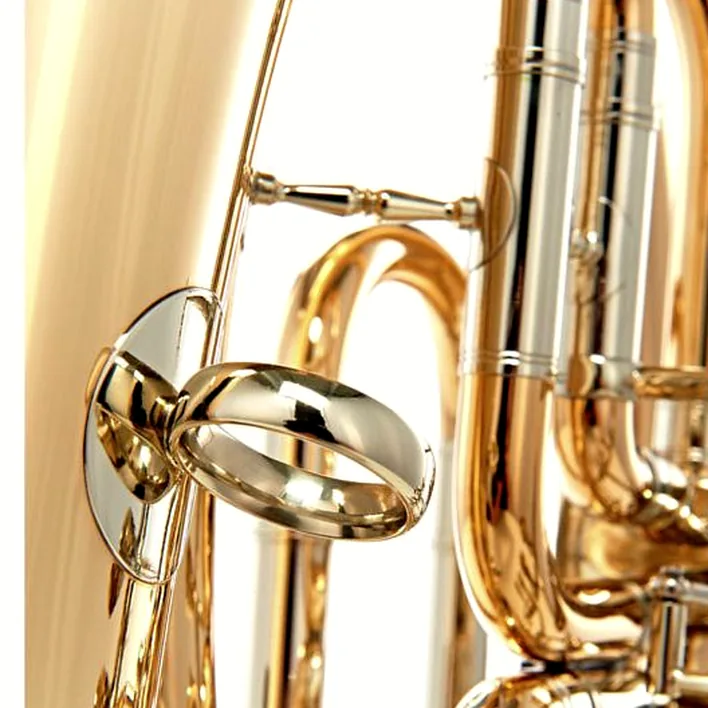 Avis & Test du baryton Wagnérien Miraphone 54L 1100 A Baritone