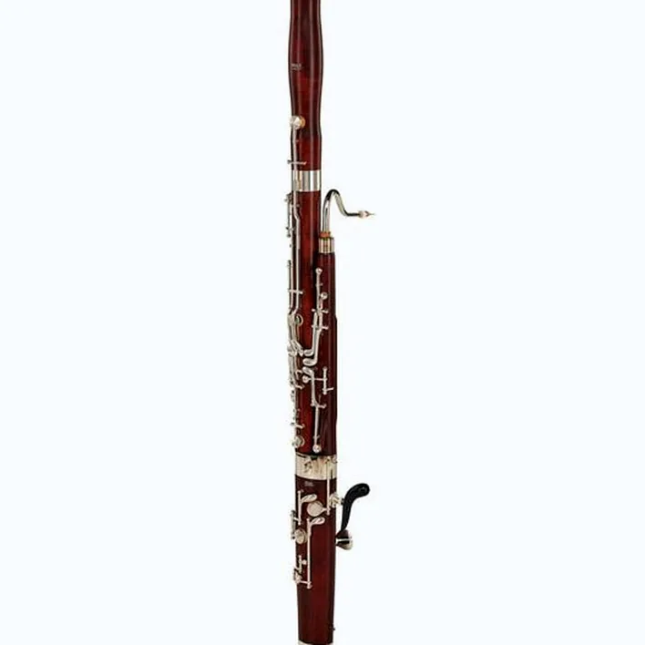 Avis & Test du basson Guntram Wolf Fg 5 Quint-Bassoon