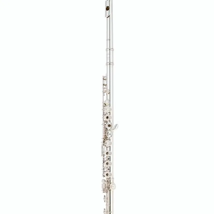 Flûte traversière Altus AS-PSD ERB1 Flute / Test, Avis