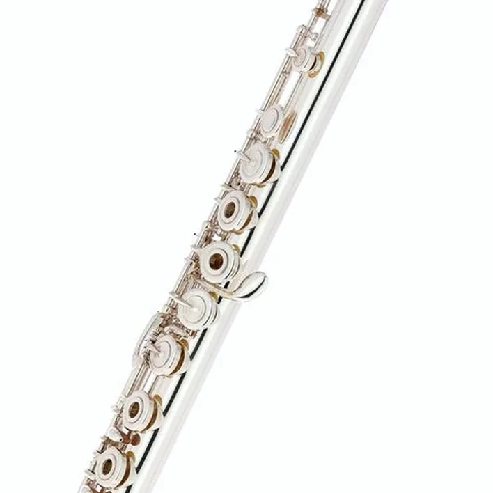 Flûte traversière Altus AS-PSD ERB1 Flute / Test, Avis