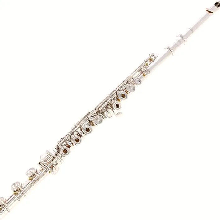 Flûte traversière Altus AS-PSD ERB1 Flute / Test, Avis