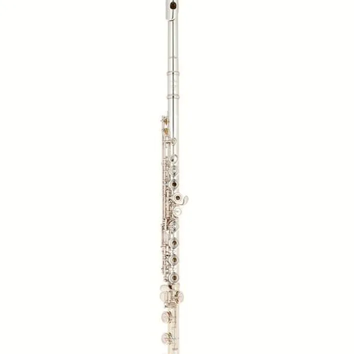 Flûte traversière Altus AS-PSD ERB1 Flute / Test, Avis